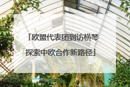 欧盟代表团到访横琴 探索中欧合作新路径