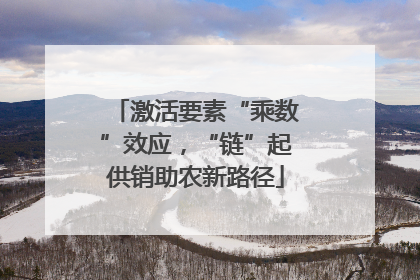激活要素“乘数”效应，“链”起供销助农新路径