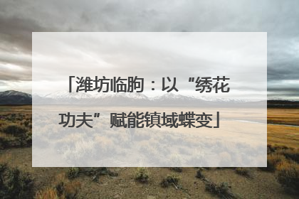潍坊临朐：以“绣花功夫”赋能镇域蝶变