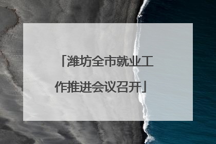潍坊全市就业工作推进会议召开