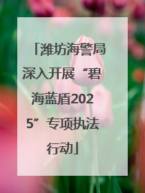 潍坊海警局深入开展“碧海蓝盾2025”专项执法行动