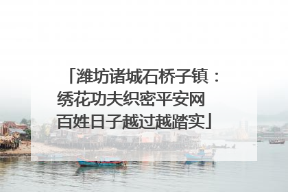 潍坊诸城石桥子镇：绣花功夫织密平安网 百姓日子越过越踏实