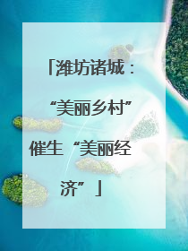 潍坊诸城：“美丽乡村”催生“美丽经济”