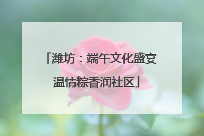 潍坊：端午文化盛宴 温情粽香润社区
