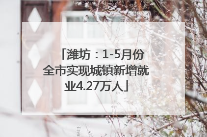 潍坊：1-5月份全市实现城镇新增就业4.27万人