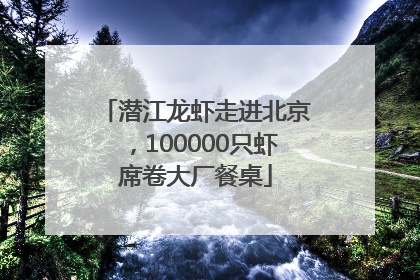 潜江龙虾走进北京，100000只虾席卷大厂餐桌