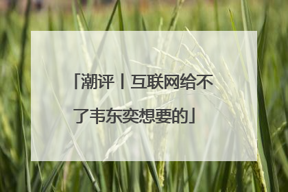 潮评丨互联网给不了韦东奕想要的