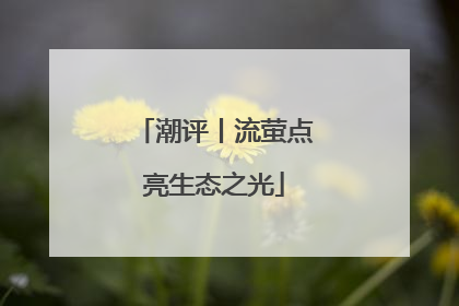 潮评丨流萤点亮生态之光