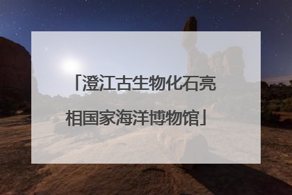 澄江古生物化石亮相国家海洋博物馆