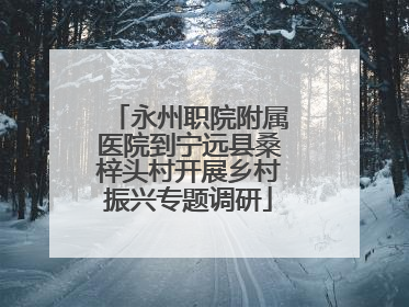 永州职院附属医院到宁远县桑梓头村开展乡村振兴专题调研