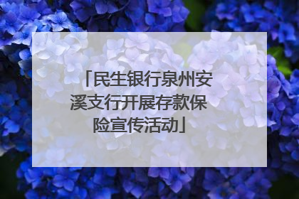 民生银行泉州安溪支行开展存款保险宣传活动