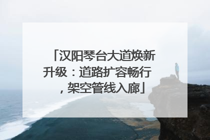 汉阳琴台大道焕新升级：道路扩容畅行，架空管线入廊