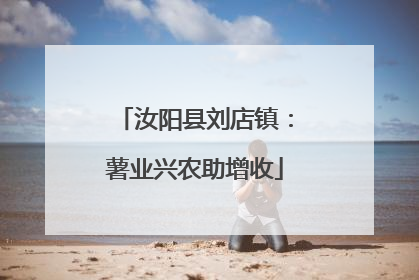 汝阳县刘店镇：薯业兴农助增收