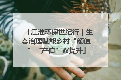 江淮环保世纪行｜生态治理赋能乡村“颜值”“产值”双提升