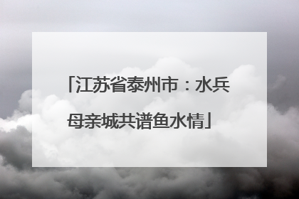 江苏省泰州市：水兵母亲城共谱鱼水情