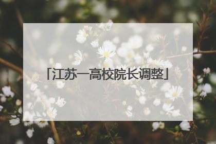 江苏一高校院长调整