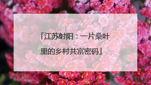 江苏射阳：一片桑叶里的乡村共富密码