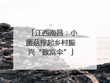 江西南昌：小菌菇撑起乡村振兴“致富伞”