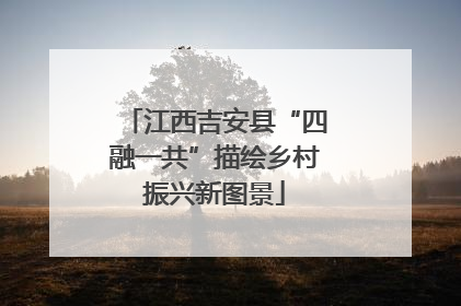 江西吉安县“四融一共”描绘乡村振兴新图景