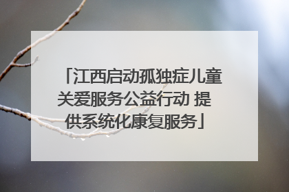 江西启动孤独症儿童关爱服务公益行动 提供系统化康复服务