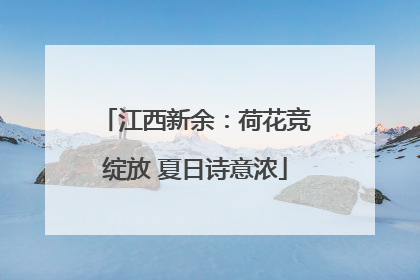 江西新余：荷花竞绽放 夏日诗意浓