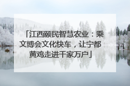 江西颐民智慧农业：乘文博会文化快车，让宁都黄鸡走进千家万户