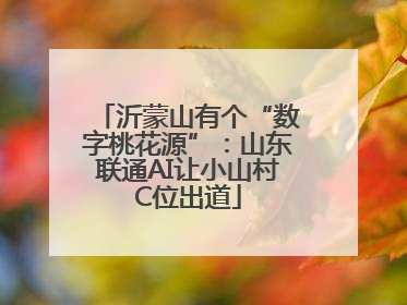 沂蒙山有个“数字桃花源”：山东联通AI让小山村C位出道