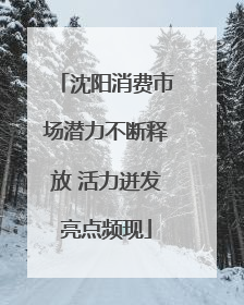 沈阳消费市场潜力不断释放 活力迸发亮点频现