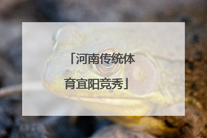 河南传统体育宜阳竞秀