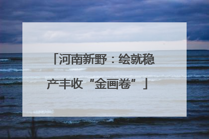 河南新野：绘就稳产丰收“金画卷”