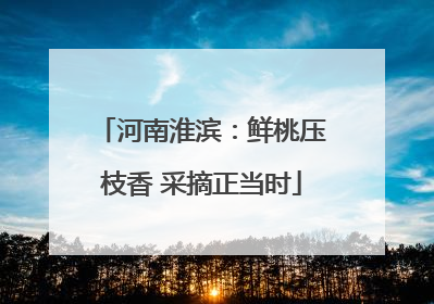 河南淮滨：鲜桃压枝香 采摘正当时