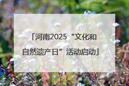 河南2025“文化和自然遗产日”活动启动