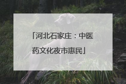 河北石家庄：中医药文化夜市惠民