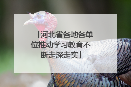 河北省各地各单位推动学习教育不断走深走实