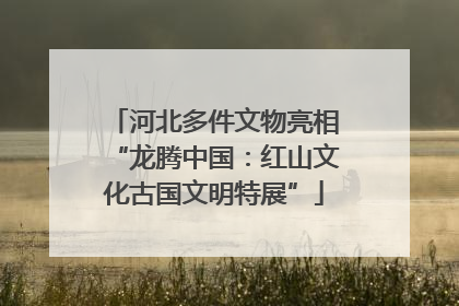 河北多件文物亮相“龙腾中国：红山文化古国文明特展”