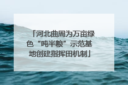 河北曲周为万亩绿色“吨半粮”示范基地创建指挥田机制
