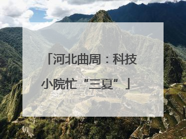 河北曲周：科技小院忙“三夏”