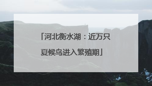 河北衡水湖：近万只夏候鸟进入繁殖期