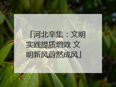 河北辛集：文明实践提质增效 文明新风蔚然成风