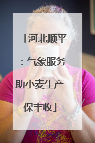 河北顺平：气象服务助小麦生产保丰收