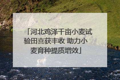 河北鸡泽千亩小麦试验田喜获丰收 助力小麦育种提质增效