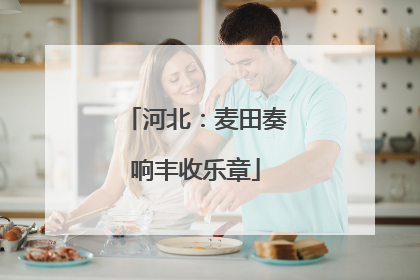 河北：麦田奏响丰收乐章