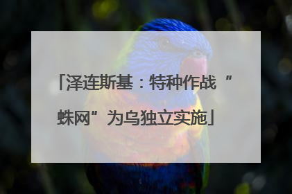 泽连斯基：特种作战“蛛网”为乌独立实施