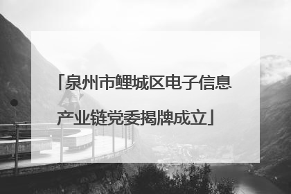 泉州市鲤城区电子信息产业链党委揭牌成立