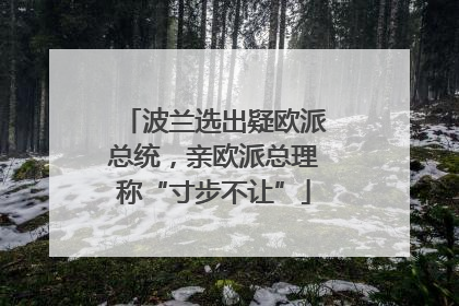 波兰选出疑欧派总统，亲欧派总理称“寸步不让”