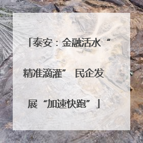 泰安：金融活水“精准滴灌” 民企发展“加速快跑”