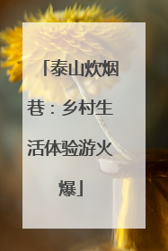 泰山炊烟巷：乡村生活体验游火爆
