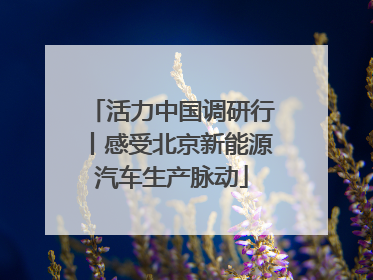 活力中国调研行丨感受北京新能源汽车生产脉动