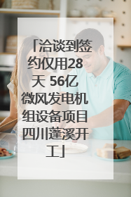 洽谈到签约仅用28天 56亿微风发电机组设备项目四川蓬溪开工
