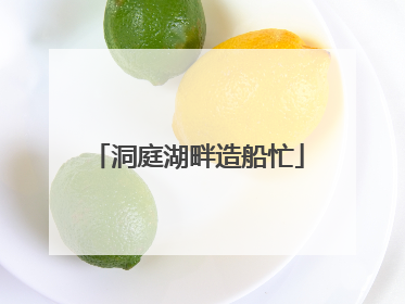 洞庭湖畔造船忙